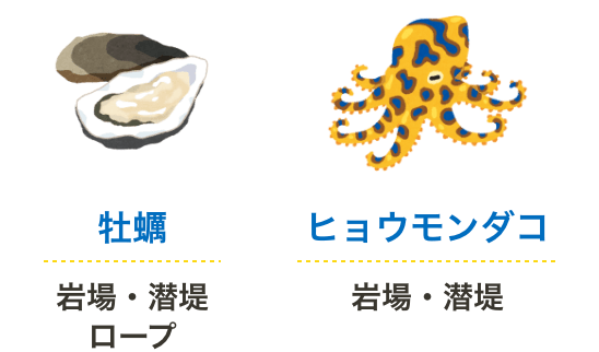 牡蠣は岩場・潜堤・ロープ、ヒョウモンダコは岩場・潜堤に生息しています。